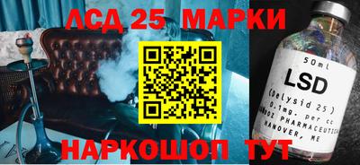 молекула духа Будённовск