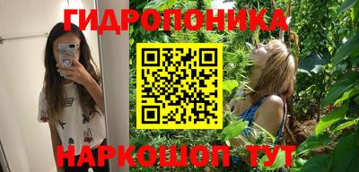 молекула духа Будённовск
